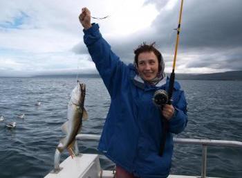 History & Culture Festival in the West fjords