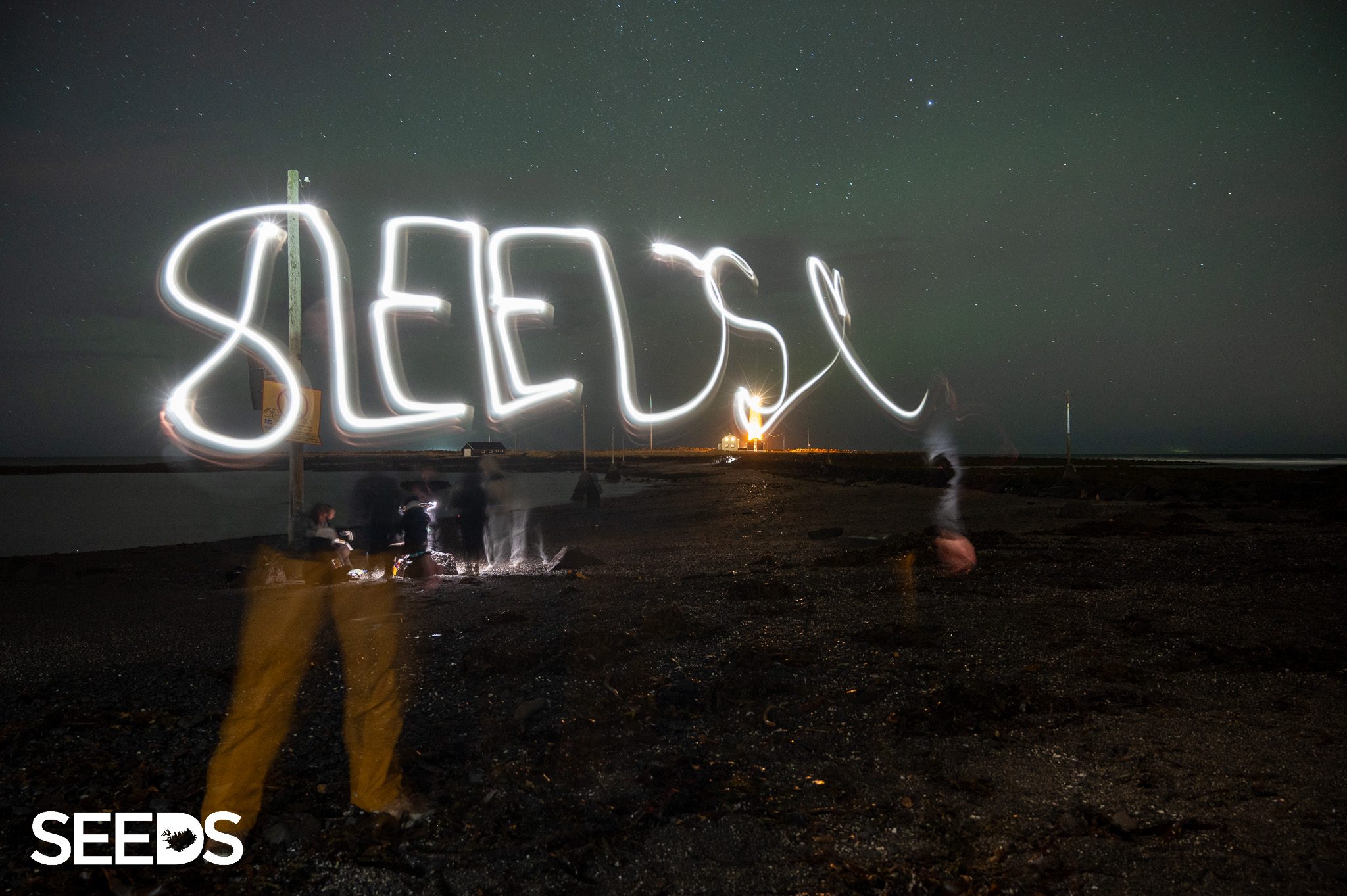 SEEDS 084. Environment & Photography - Christmas