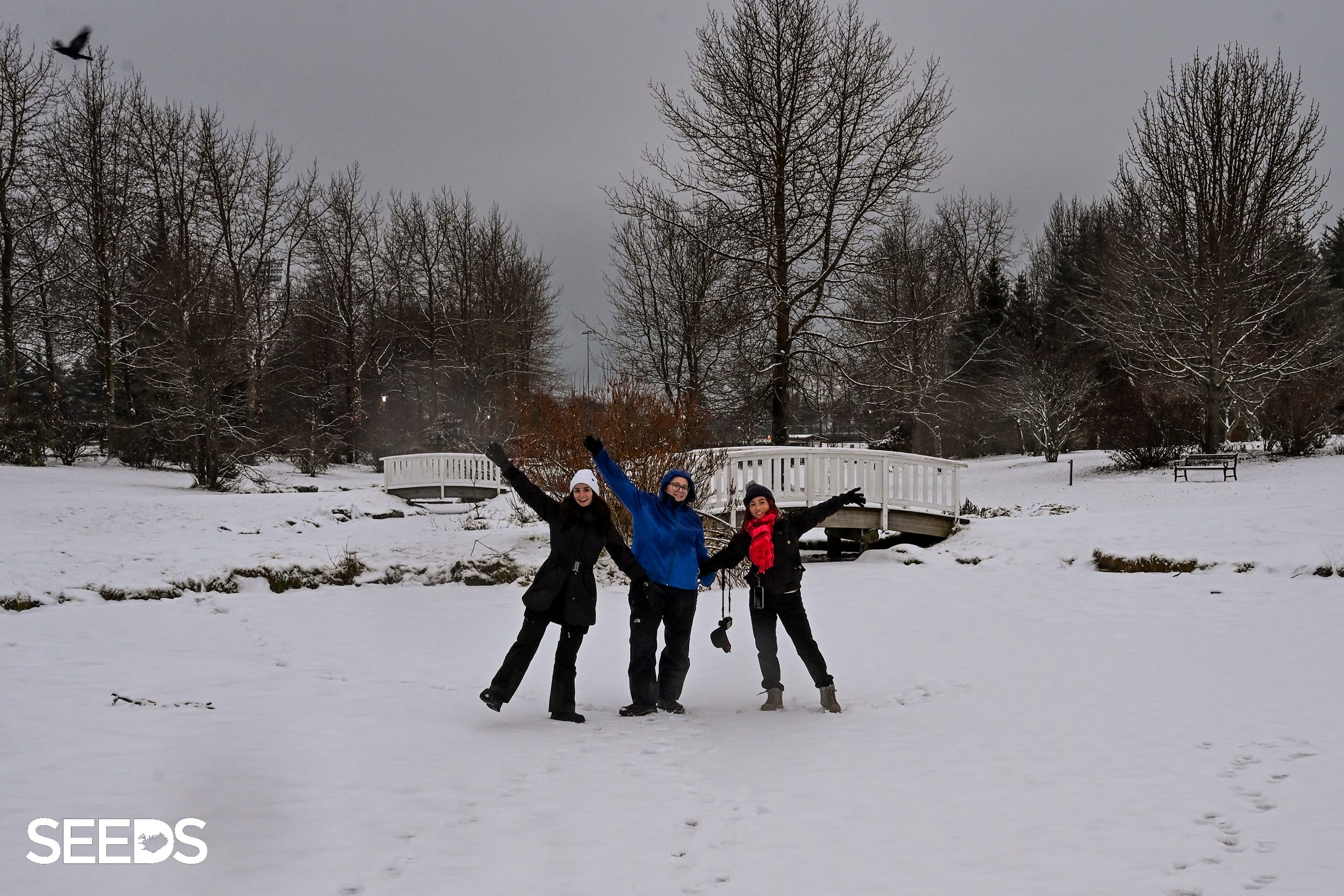 SEEDS 081. Environment & Photography - November