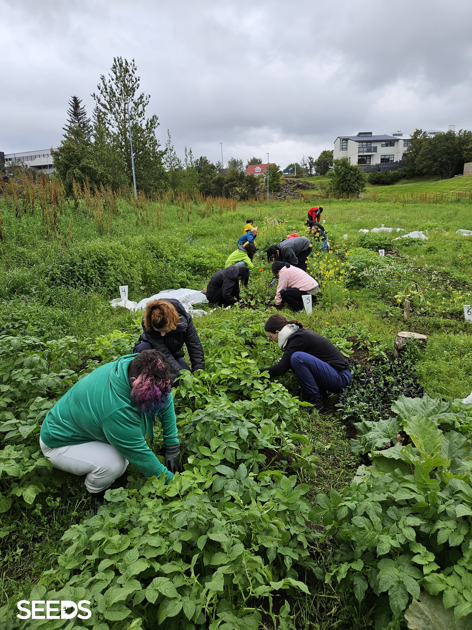 SEEDS 059. Environmental Awareness & Action - Rvk