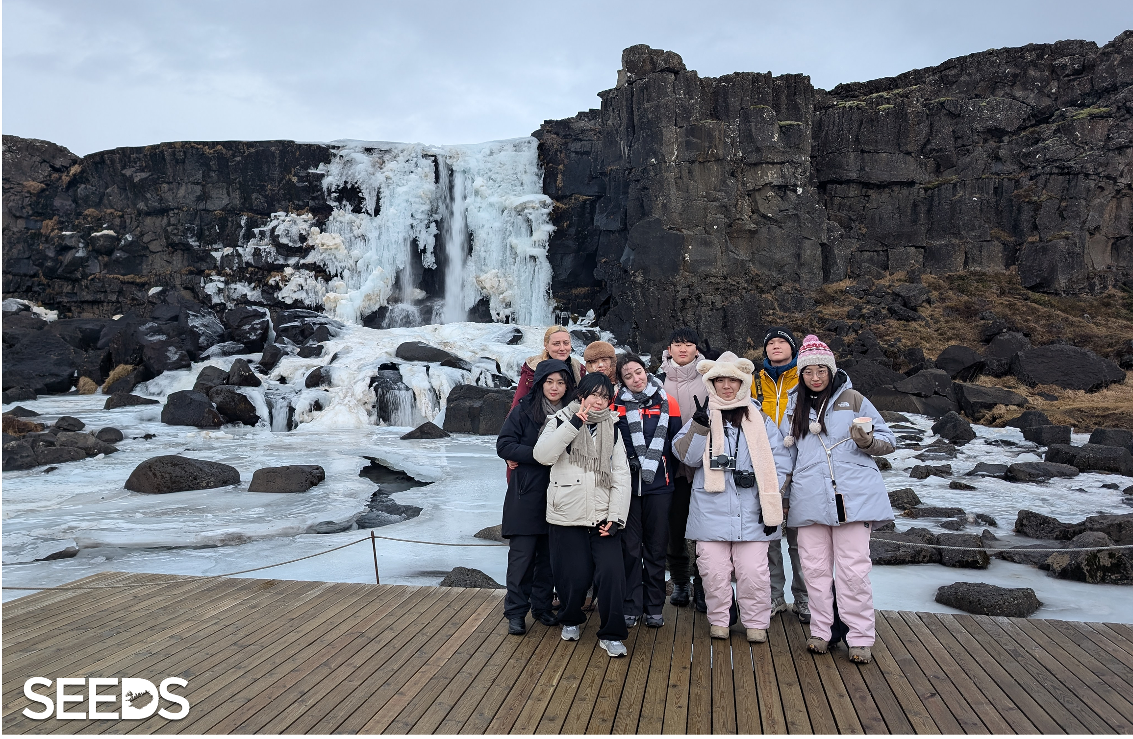 SEEDS 002. Environment & Photography - January