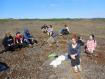 SEEDS 056. Revegetation in the South of Iceland