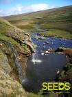 SEEDS 052. Caves and canyons in the East of Iceland