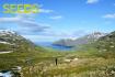 SEEDS 062 - Culture & Midnight sun in the East fjords