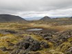 SEEDS 40. The Blue Mountains of Iceland - Bláfjöll (2) - Fight Against Erosion