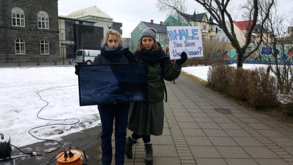 Whale protest: Sea Shepherd Iceland video