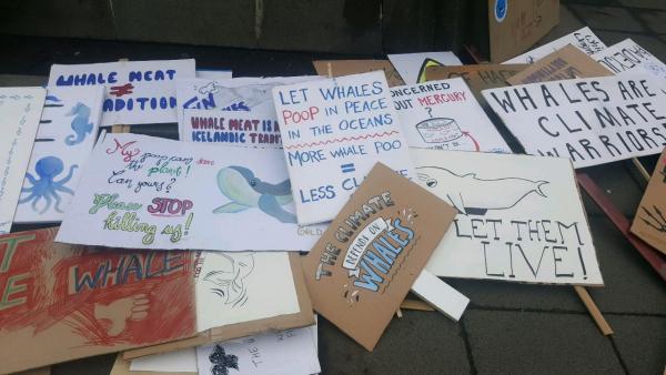 Whale protest Morgunblaðið  article
