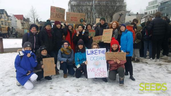 Whale protest: the Reykjavik Grapevine article