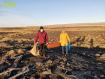 Pick up tons of trash along the coastline