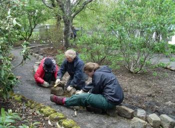 Botanic Garden in Reykjavík (1:9)