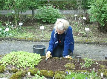 Botanic Garden in Reykjavík (1:10)