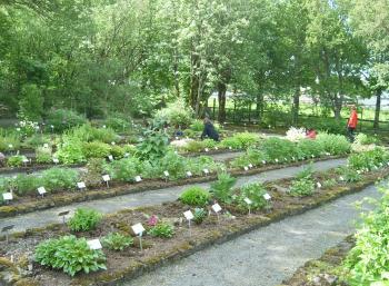 Botanic Garden in Reykjavík (2:10)