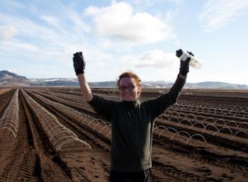 SEEDS Iceland