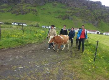 Family Farm under the Glacier (2:7)