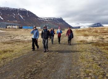 Ísafjarðardjúp: Nature & Fun in the Westfjords (2:3)