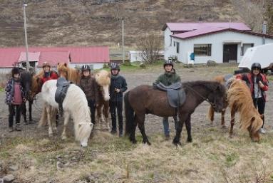 Lambing season in Skagafjörður