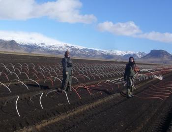 SEEDS Iceland