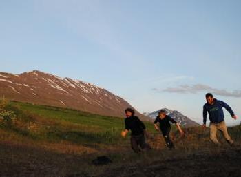 SEEDS Iceland