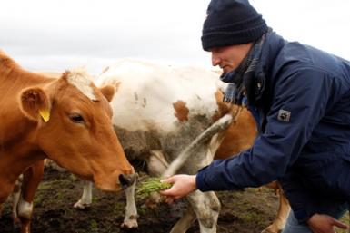 Volunteering at the feet of Eyjafjallajökull