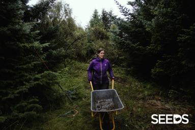 SEEDS 010. Hiking trails & Forestry - West Iceland