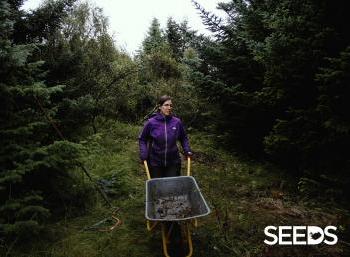 SEEDS 048. Hiking trails & Forestry - West Iceland