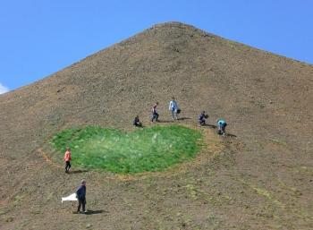 Revegetation in the south of Iceland (1:2)