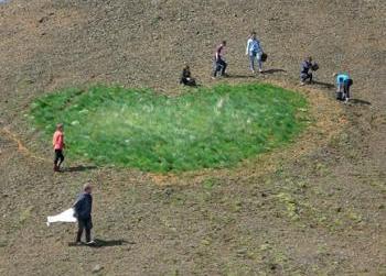 Revegetation in the south of Iceland (1:2)