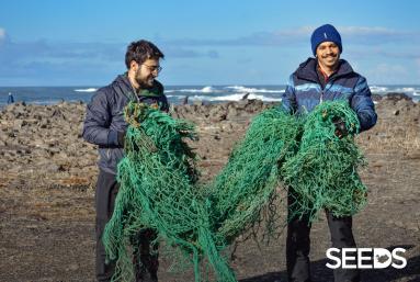 SEEDS Iceland