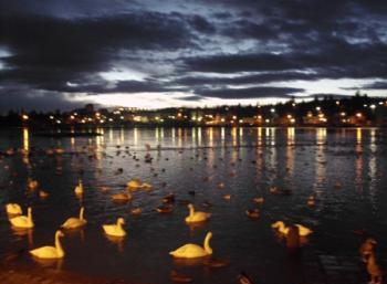 Photo Marathon in Reykjavík