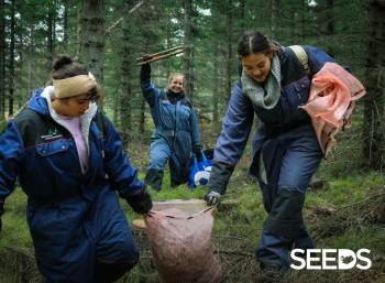 SEEDS 059. Forestry in the Far East of Iceland