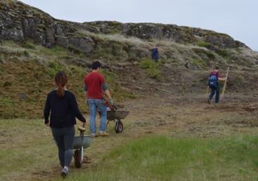 SEEDS 059. Revegetation in the south of Iceland (2:2)