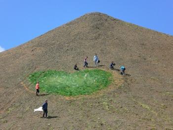 Revegetation in the South of Iceland (1:2)