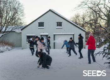 SEEDS Iceland