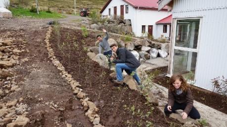 SEEDS Iceland