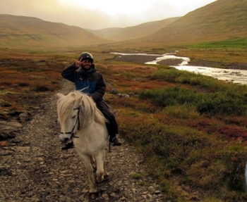 Ísafjarðardjúp: Nature & Fun in the Westfjords