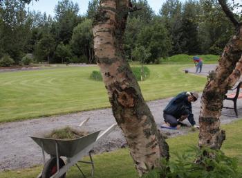 Botanic Garden in Reykjavík (7:9)