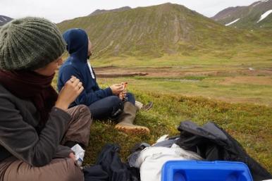 Tálknafjörður in the West fjords (4:4)