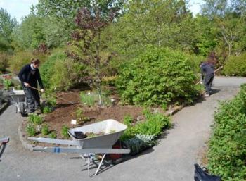 Botanic Garden in Reykjavík (9:10)