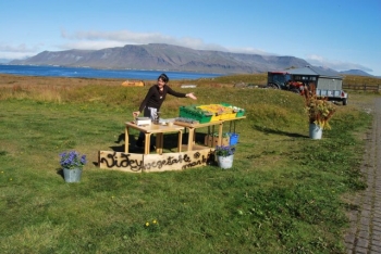 Island of Viðey: History, Nature & Art