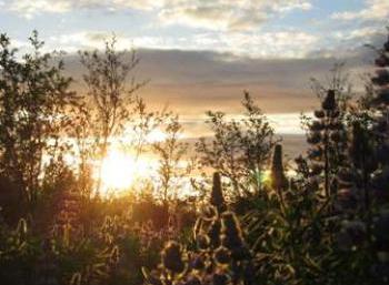 Botanical gardens in Reykjavík (2:10)