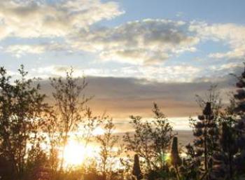 Summer Solstice & Photography in Reykjavík