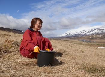 Power Food in the East of Iceland