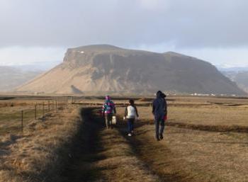 SEEDS Iceland