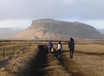 Culture & Midnight sun in the East fjords