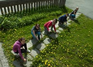 History & Culture Festival in the West fjords