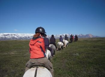 Work and fun in the East fjord