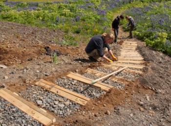 Repairing tracks in Dalir - Sagaland (1:2)