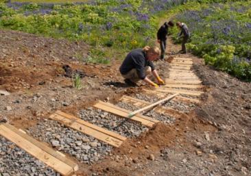 Forestry & hiking trails in the West