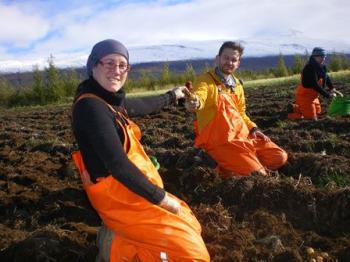 Organic Farming in Iceland (1:2)