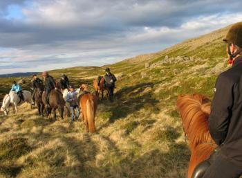 Working & Horseback riding in the South